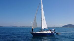 sailing boat makeva price and availability